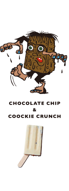 CHOCOLATE CHIP & COOCKIE CRUNCH